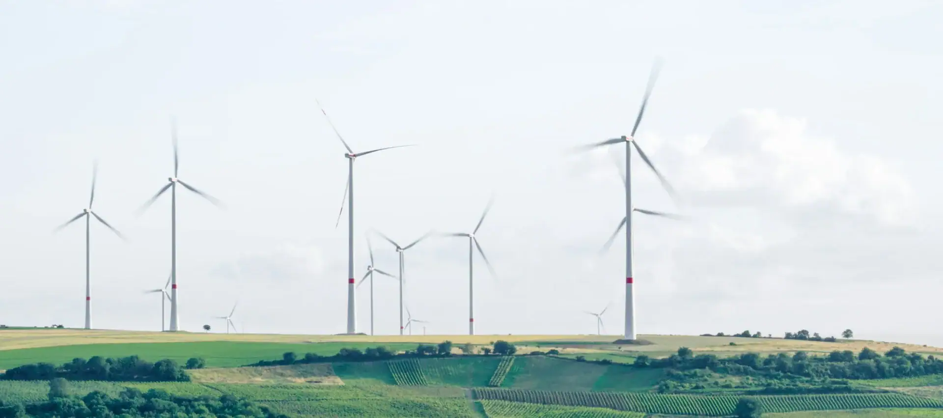 Multiple wind turbines on a green landscape under a cloudy sky, representing renewable energy and sustainable power sources.
