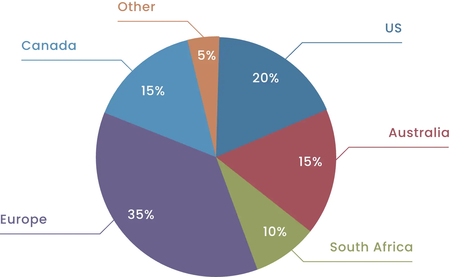 Pie chart illustrating market share percentages for different companies with segments labeled and color-coded.