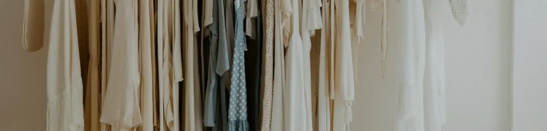 A neatly organized closet featuring a variety of stylish dresses, blouses, and accessories in neutral tones, perfect for fashion enthusiasts.