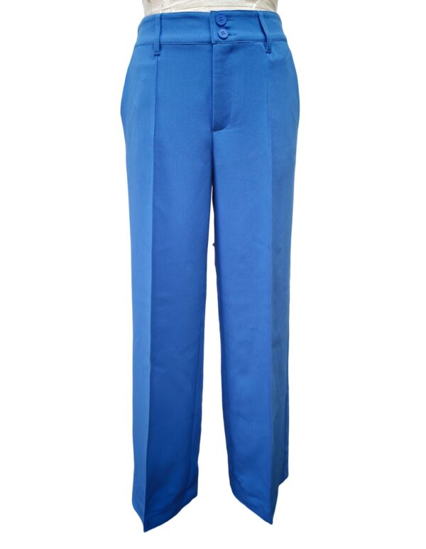 Elegant blue wide-leg trousers with a high waist and double button closure, perfect for professional or casual wear, showcasing modern fashion trends.