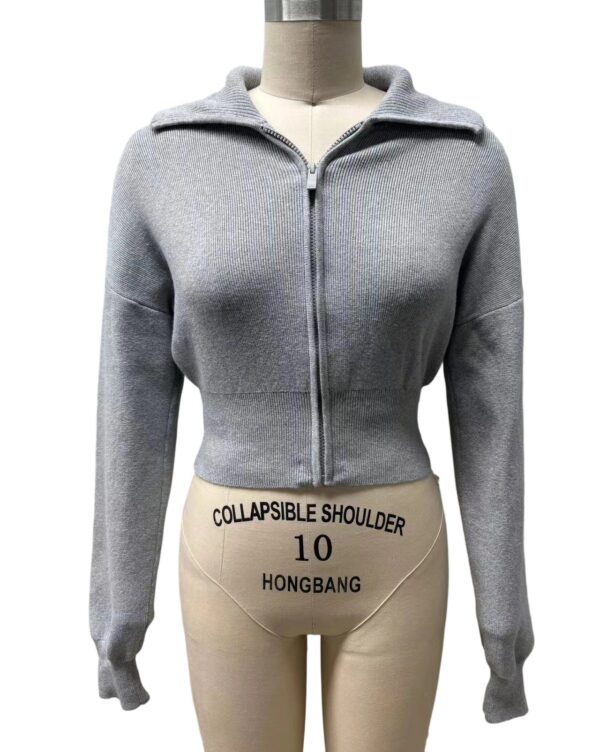 Front view of a grey zip-up hoodie with a collar, fitted at the waist, displayed on a mannequin for fashion and casual wear.