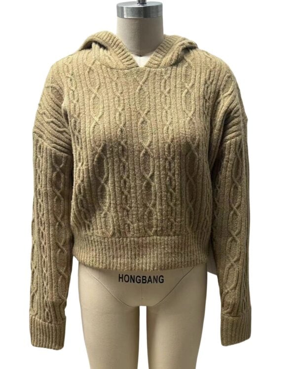 Beige cable knit hoodie with a hood, long sleeves, and textured pattern, perfect for casual winter wear.