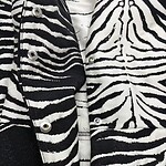 Close-up of a stylish zebra print jacket with silver buttons, showcasing bold black and white pattern perfect for fashion-forward outfits.