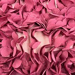Close-up of pink ruffled fabric with layered petal-like textures, showcasing intricate design and vibrant color for fashion and textile focus.