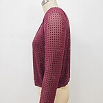 Red mesh long sleeve top with small black polka dots, stylish and trendy for fashion-forward outfits.