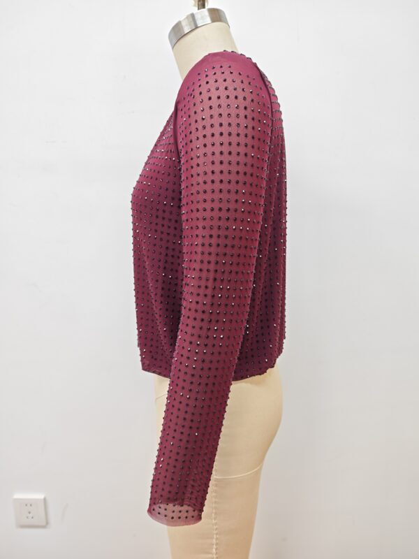 Red mesh long sleeve top with small black polka dots, stylish and trendy for fashion-forward outfits.